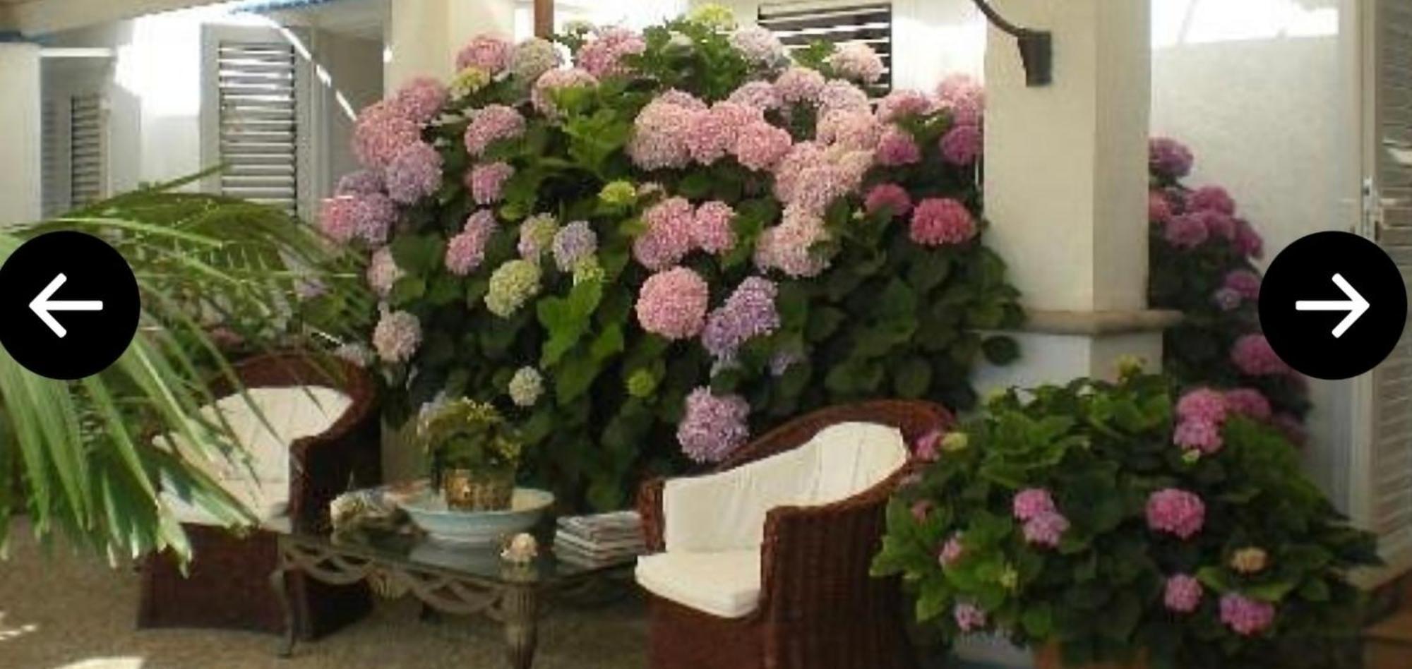 Bed and Breakfast Bb La Guardiia à Anacapri  Extérieur photo